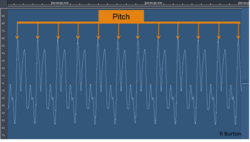 Pitch perception. During the listening process, each sound is analysed for a repeating pattern (orange arrows) and the results forwarded to the auditory cortex as a single pitch of a certain height (octave) and chroma (note name).