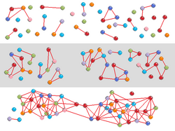 Self-organization of a network, based on Nagler, Levina, & Timme (2011)[31]