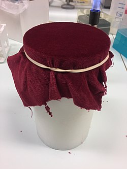 A sterile velvet on a plastic block for replica plating