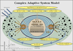 Complex adaptive systems model
