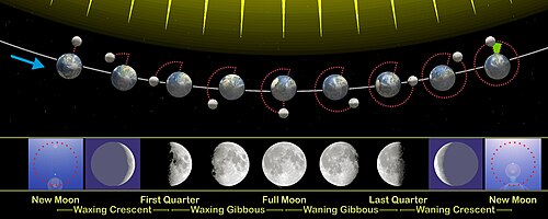 The phases of the Moon as viewed looking southward from the Northern Hemisphere. Each phase would be rotated 180° if seen looking northward from the Southern Hemisphere. The upper part of the diagram is not to scale, as the Moon, the Earth, and the Moon's orbit are all much smaller relative to the Earth's orbit than shown here.
