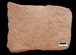 Aphanitic rhyolite