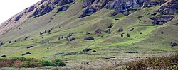 Moʻai quarry at Rano Raraku