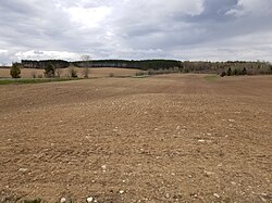 Eroded hilltops due to tillage erosion