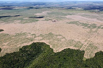 Deforestation in the Maranhão state of Brazil, July 2016