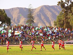 Deportes Copiapó and its fans in the local stadium.