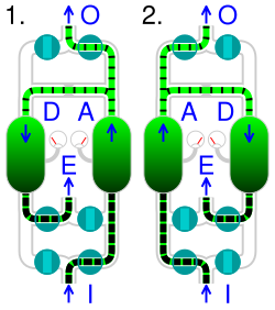 Animation of pressure swing adsorption, (1) and (2) showing alternating adsorption and desorption I compressed air input A adsorption O oxygen output D desorption E exhaust