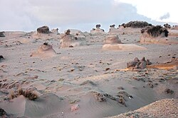 Wind erosion of soil at the foot of Chimborazo, Ecuador
