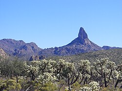 In many versions of the story, Weavers Needle is a prominent landmark for locating the lost mine.
