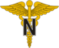 Nurse Corps branch of service insignia