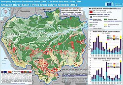 The EU response to the Amazon rainforest wildfires