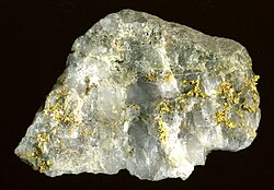 High-grade Gold Ore from the Harvard mine quartz-gold vein. Discovered in 1859, the mine has produced about 800,000 ounces of gold, worth about $1.3 billion at 2014 prices. The mine closed in 1994.[5]