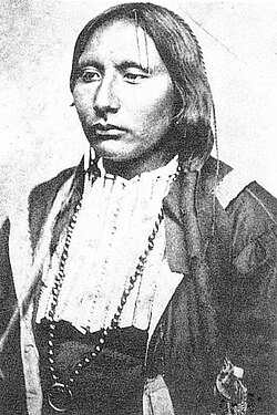 Big Tree, a Kiowa chief and warrior