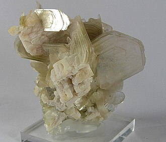 Muscovite, a mineral species in the mica group, within the phyllosilicate subclass