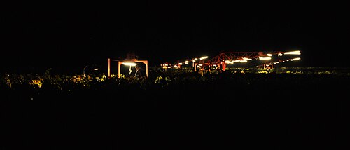 Night harvest by hand of wine grapes in Napa, California