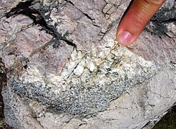 Pegmatitic granite with pink potassium feldspar crystals, surrounding a finer-grained cumulate-filled enclave, Rock Creek Canyon, eastern Sierra Nevada, California