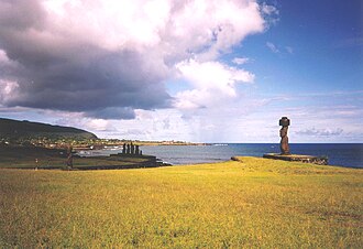 Subtropical broadleaf forests disappeared from Easter Island. The island is currently mostly covered in grassland with nga'atu or bulrush (Schoenoplectus californicus tatora) in the crater lakes of Rano Raraku and Rano Kau.
