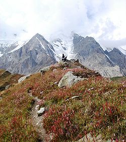 At 4,100 m (13,450 ft), near the Rakhiot Base Camp