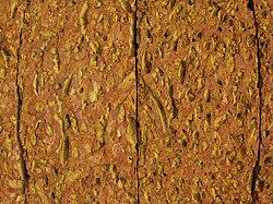 Laterite in Sơn Tây, Hanoi, Vietnam