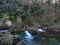 Fontaine de Vaucluse or Spring of Vaucluse in France discharges about 470 million US gallons (1,800,000 m3) of water per day at a rate of 727 ft3 (20.6 m3) per second.