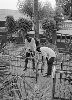 Spraying hospital beds with DDT, PAIGC hospital of Ziguinchor, 1973