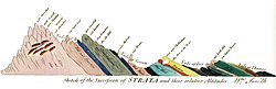 Sketch of the Succession of Strata and their Relative Altitudes (William Smith)