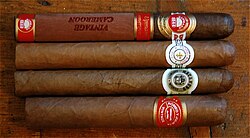 Several different cigars
