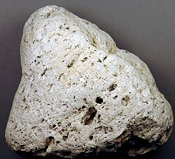 Rhyodacite pumice from the late August 1883 eruption of Krakatoa. This rock floated across the Indian Ocean for almost a year before it washed ashore at Takwa Beach, Kenya, East Africa.