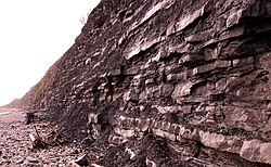 Cyclic alternation of competent and less competent beds in the Blue Lias at Lyme Regis, southern England