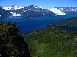 Glacier in a fjord at Kenai Fjords National Park, Alaska
