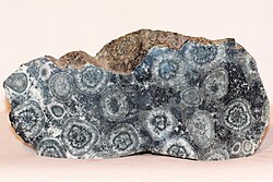 Orbicular diorite from Corsica (corsite)