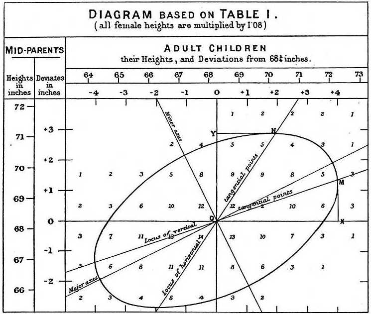 Francis Galton's 1886[10] illustration of the correlation between the heights of adults and their parents. The observation that adult children's heights tended to deviate less from the mean height than their parents suggested the concept of "regression toward the mean", giving regression its name. The "locus of horizontal tangential points" passing through the leftmost and rightmost points on the ellipse (which is a level curve of the bivariate normal distribution estimated from the data) is the OLS estimate of the regression of parents' heights on children's heights, while the "locus of vertical tangential points" is the OLS estimate of the regression of children's heights on parent's heights. The major axis of the ellipse is the TLS estimate.