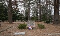 Oberlin Cemetery