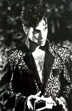 Prince from Under the Cherry Moon in 1986