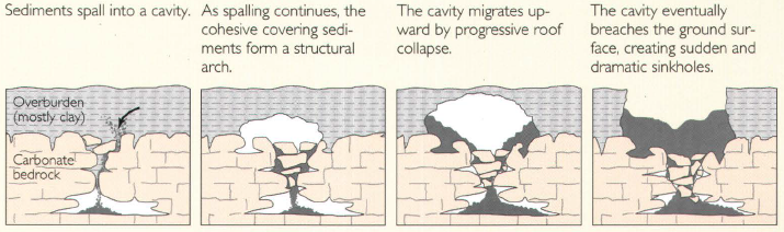 Sediments spall into a cavity. As spalling continues, the cohesive covering sediments form a structural arch. The cavity migrates upward by progressive roof collapse. The cavity eventually breaches the ground surface, creating sudden and dramatic sinkholes.