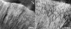 Possible solifluction lobes in Acidalia Planitia on Mars as seen by HiRISE