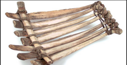 Rosebud Yellow Robe's sled donated to the National Museum of the American Indian.
