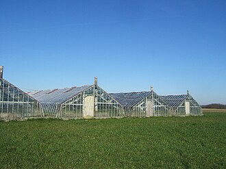 Greenhouses for grapes in Flemish Brabant