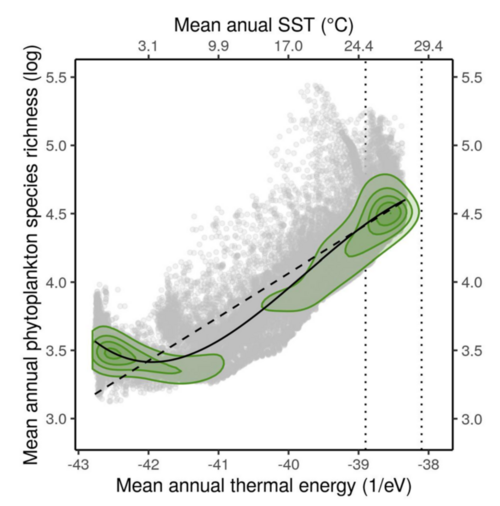 Plot demonstrating increases in phytoplankton species richness with increased temperature