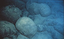 Pillow lava on the ocean floor near Hawaii