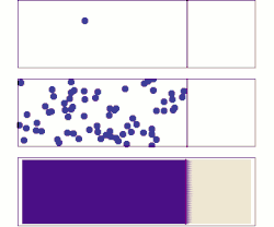 Molecular diffusion from a microscopic and macroscopic point of view. Initially, there are solute molecules on the left side of a barrier (purple line) and none on the right. The barrier is removed, and the solute diffuses to fill the whole container. Top: A single molecule moves around randomly. Middle: With more molecules, there is a clear trend where the solute fills the container more and more uniformly. Bottom: With an enormous number of solute molecules, randomness becomes undetectable: The solute appears to move smoothly and systematically from high-concentration areas to low-concentration areas. This smooth flow is described by Fick's laws.
