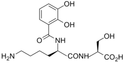 Chrysobactin