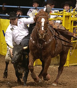 Steer wrestling