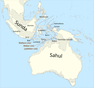Map of Sahul and Sunda, land masses that have provided land bridges at various points throughout the Pleistocene