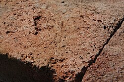 The temples of the Batujaya Archaeological Site in Indonesia (5th century CE) were built with bricks containing rice hulls.