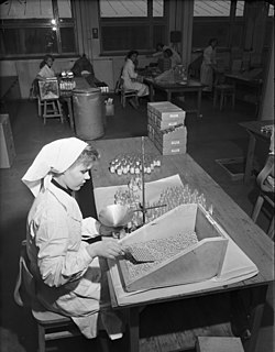 Packaging of cardiac medicine at the Star pharmaceutical factory in Tampere, Finland in 1953
