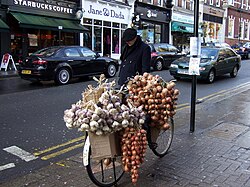 An Onion Johnny, his bicycle laden with onions and garlic, in London, 2008