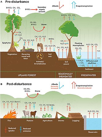 Climate change disturbances of rainforests.[91]