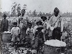 Plantation complexes were reliant on the exploitation of enslaved labor. Pictured is a family of slaves in a cotton field in Georgia, c. 1850.