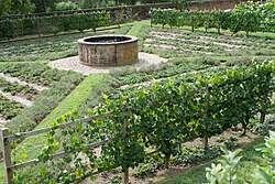 The geometric garden at Mount Vernon